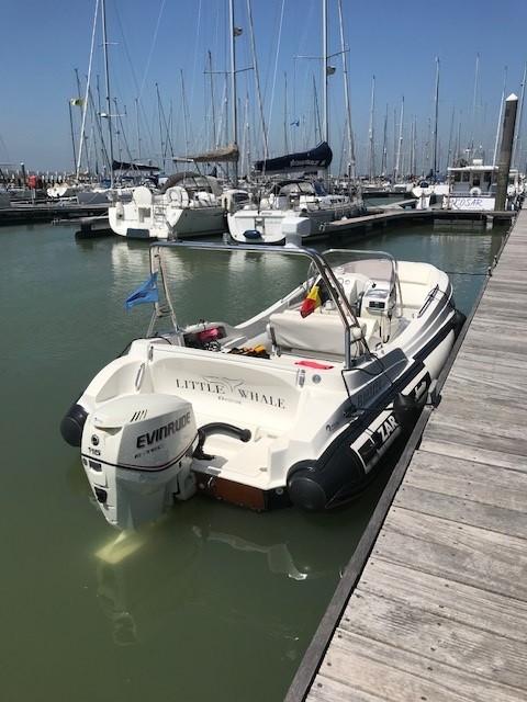 ZAR 57 LIttle Whale