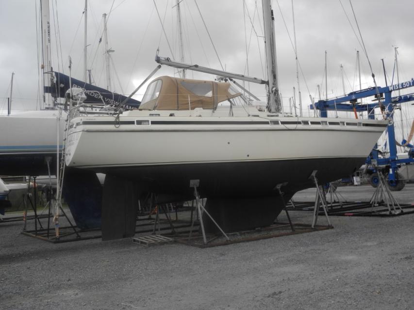 CONTEST 41 | Yachtlink