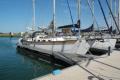 Mare